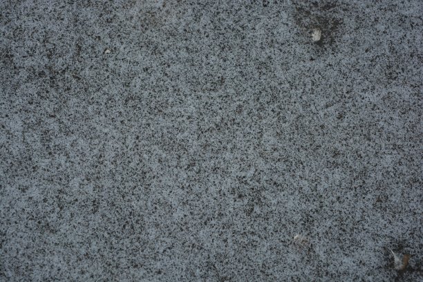 冬天，十二月的小雪花在木头表面上结了一层白霜。图片下载