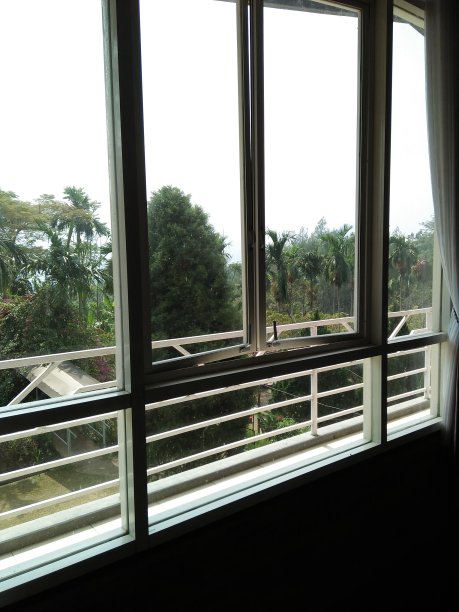 窗户外面是森林图片下载