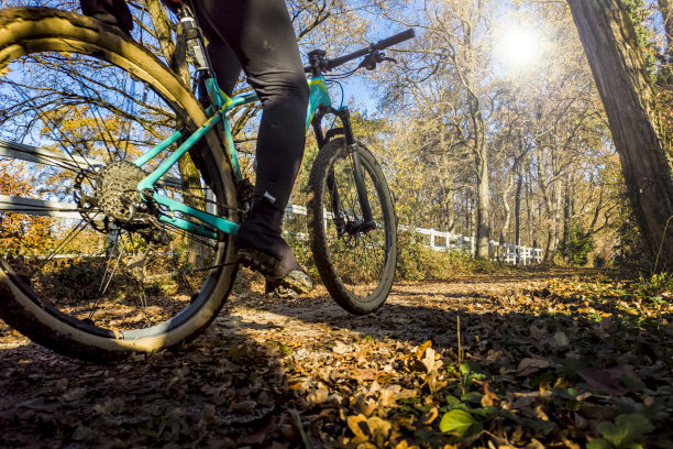 秋天在公园里骑自行车的情景图片下载