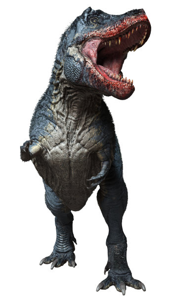 3D插图恐龙雷克斯暴龙在白色图片下载