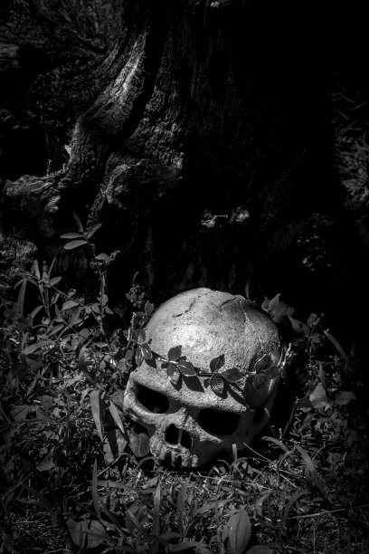 头骨女王王冠图片下载