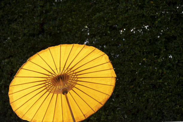 泰国北部的一种由纸和竹子制成的古老雨伞图片下载