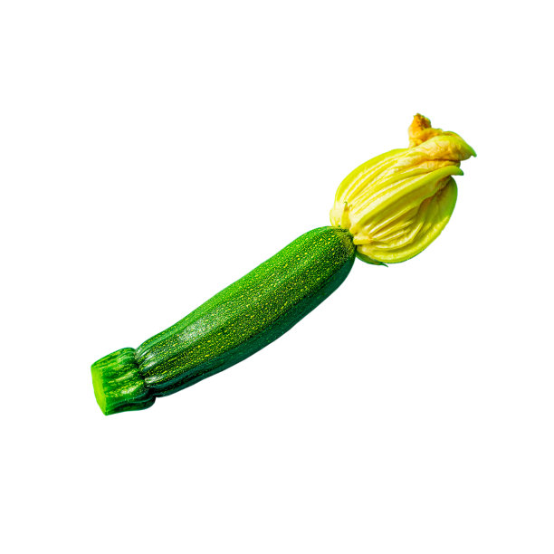 分离出黄色花的新鲜绿色小西葫芦图片下载