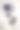 新鲜成熟的李子水果与水滴木碗石混凝土背景，俯视图图片下载