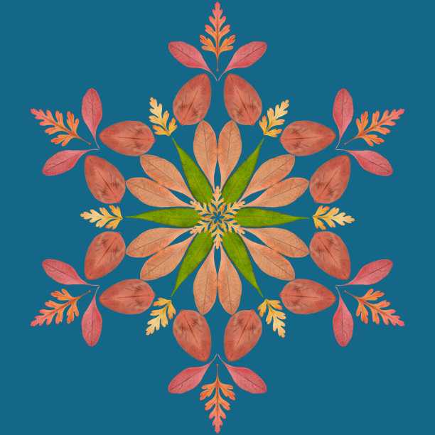 曼荼罗由干燥的花、叶压制而成。曼荼罗是佛教、印度教、瑜伽的象征。装饰曼陀罗与图案花卉元素在东方风格放松和冥想。图片下载