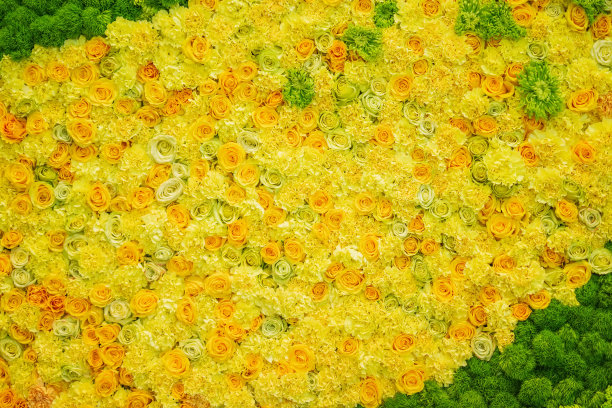 花黄色玫瑰和绿色树叶。自然的装饰。婚礼装饰，手工制作的浪漫墙面背景图片下载