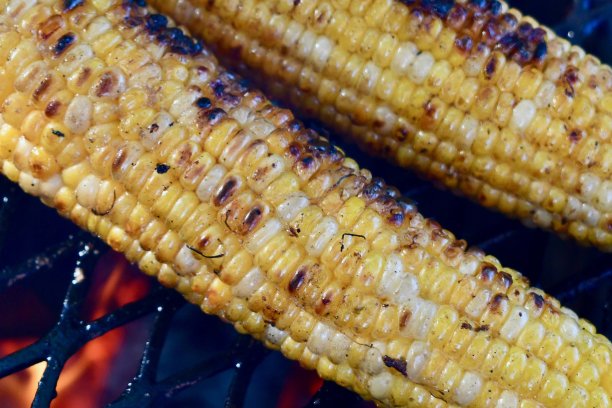 烤架上的烤玉米棒图片下载