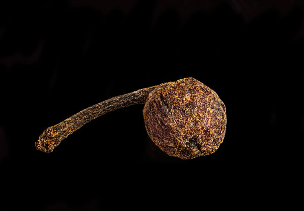 超微距照片的香料非常近图片下载