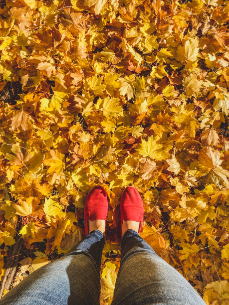从上面拍摄的女人红色的鞋子和黄色的秋叶。图片下载