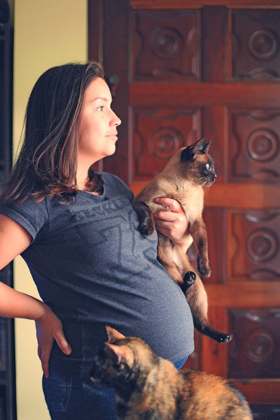 怀孕与宠物图片下载