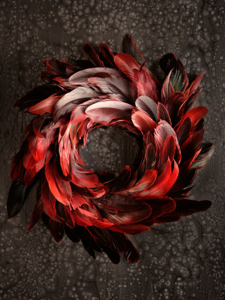 平躺，复古黑色，红色，栗色，和火焰橙色羽毛花环在深棕色的背景图片下载