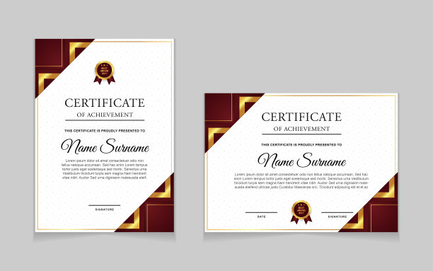 一套成就证书边框设计模板与元素豪华金章和现代线条图案。矢量图形打印布局图片下载