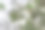 背景纹理:旧混凝土板表面覆盖苔藓或藻类图片下载