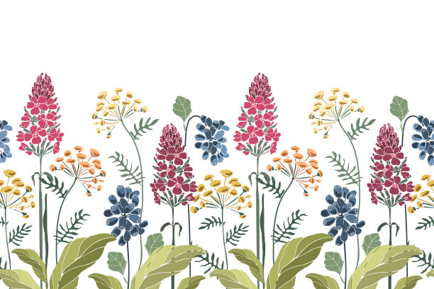 矢量花无缝边框，图案。春天，夏天花，绿叶。图片下载