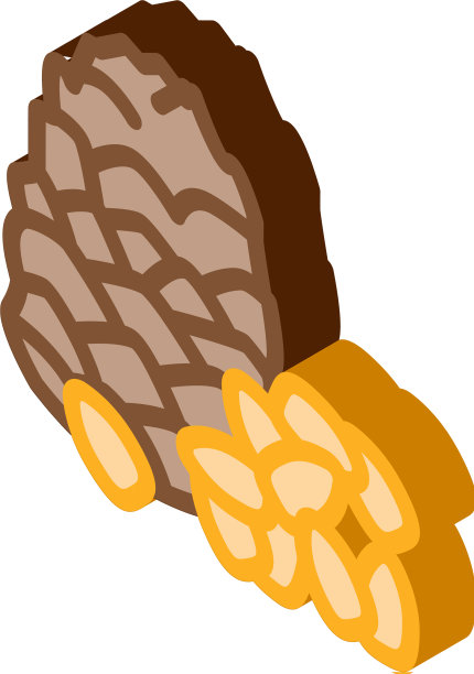 松子图标轮廓图片下载