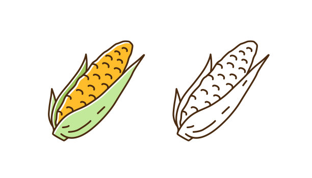 设置新鲜玉米穗轴彩色线艺术和图片下载