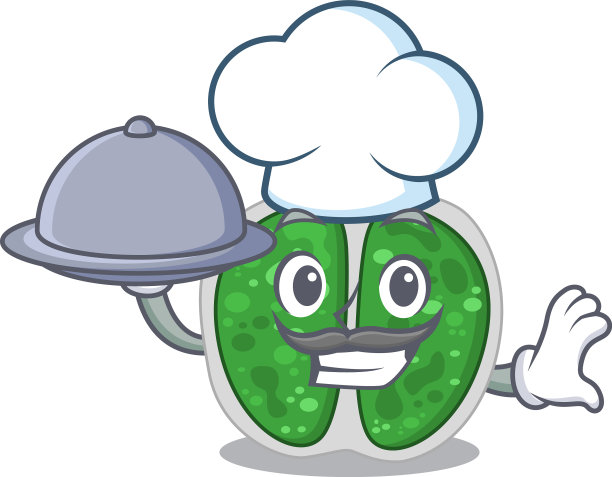 绿球菌细菌厨师卡通人物图片下载