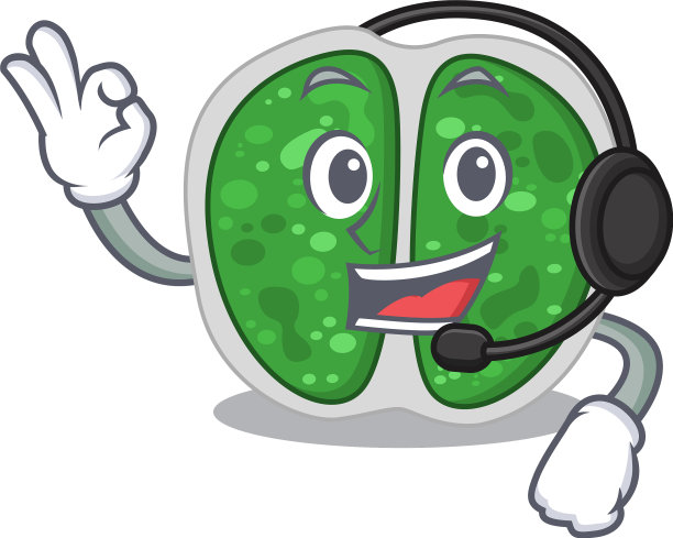 一个美丽的球菌吉祥物图片下载