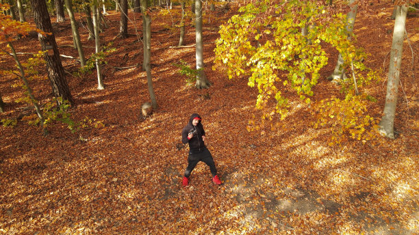 柏林秋天的森林里，一名男子正在驾驶无人机图片下载