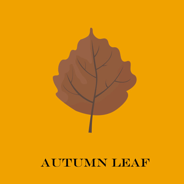 秋叶孤立在黄色的背景上图片下载