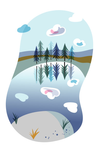 湖滨杉木云杉森林自然景观图片下载