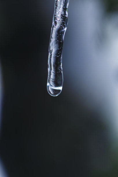 美国西部冰雪和融化的冬季背景微距照片系列在不同阶段图片下载