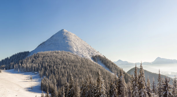 美丽的冬季全景与新雪。风景与云杉松树，蓝天与阳光和高喀尔巴阡山脉的背景。图片下载