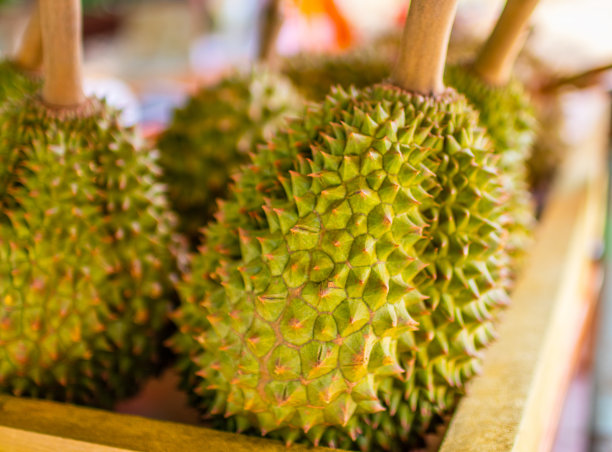 来自泰国的榴莲，尝起来像天堂，闻起来像地狱图片下载