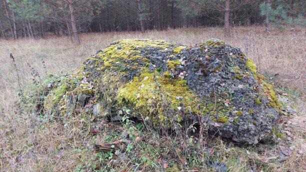 长满青苔图片下载