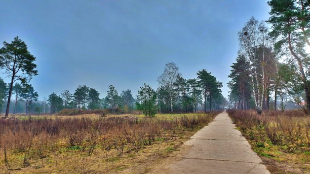 固定路径图片下载