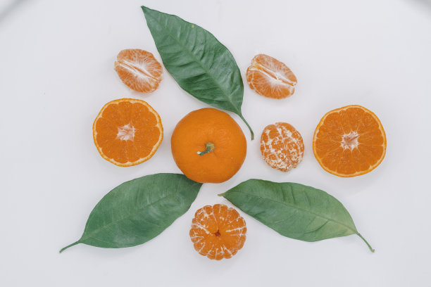 孤立在白色背景上的桔子或柑橘。前视图。平躺图片下载