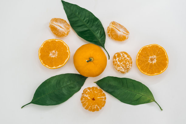 孤立在白色背景上的桔子或柑橘。前视图。平躺图片下载