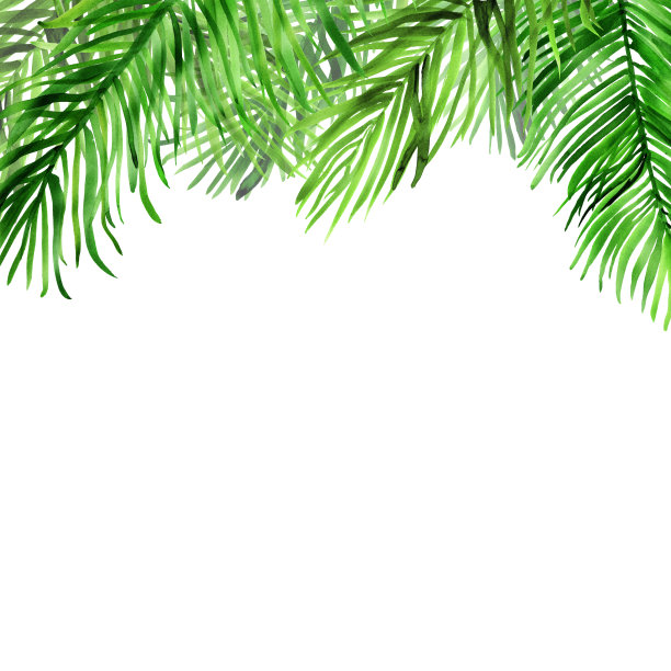 水彩背景与棕榈叶在上面图片下载