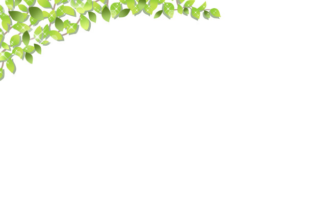 新鲜绿色边框插图图片下载