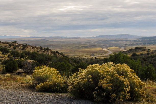 从西科罗拉多的群山俯瞰图片下载