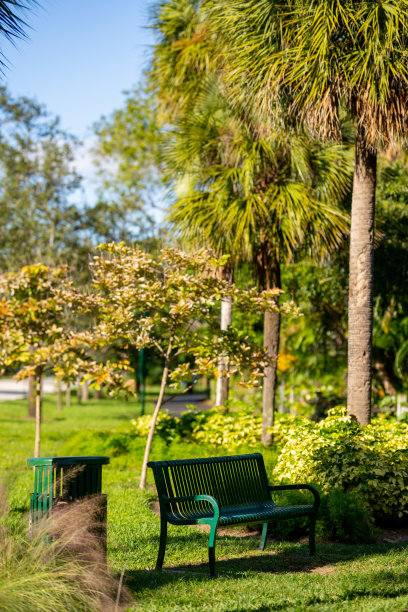 公园里的长椅和垃圾桶图片下载