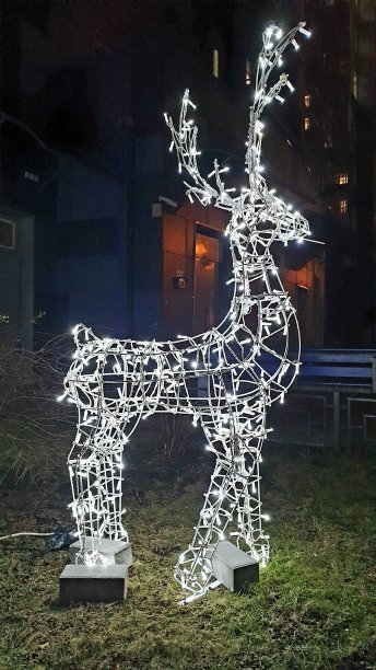 圣诞鹿图片下载