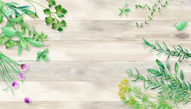 鸟瞰摆放在桌上的各种药草。水彩插画的背景。图片下载