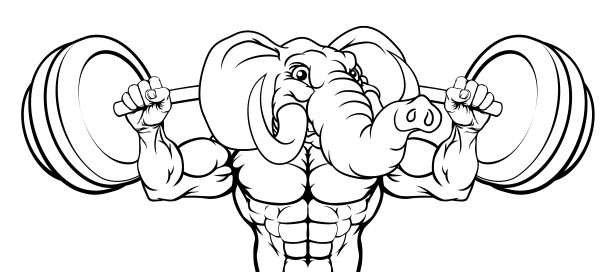 大象吉祥物举重健美者图片下载