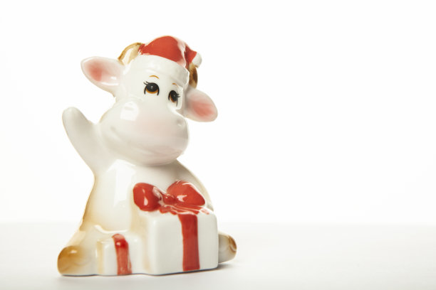 牛白色背景的图像图片下载