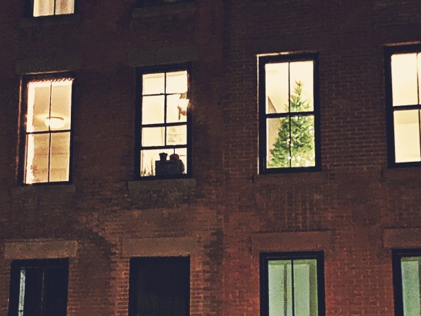 橱窗里的圣诞树图片下载