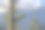 松树与金牛座山的背景，安塔利亚，土耳其图片下载