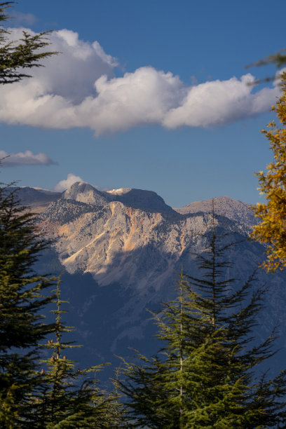 松树与金牛座山的背景，安塔利亚，土耳其图片下载