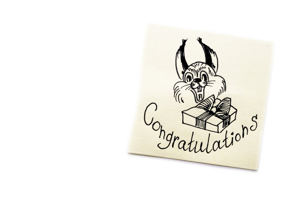 祝贺你，一只松鼠微笑着拿着一个带蝴蝶结的礼盒。标记图。恭喜贴纸图片下载