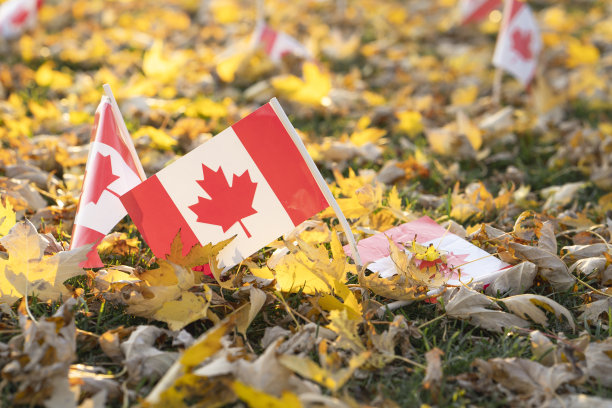 加拿大的国旗在秋叶飘落的地面上图片下载
