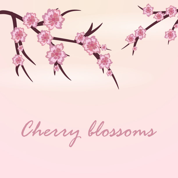 卡片与樱桃枝在春天的樱花图片下载