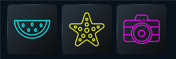 设行西瓜相机和海星图片下载