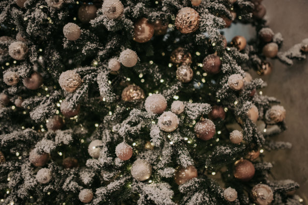 街道上白雪覆盖的舒适咖啡馆，在圣诞节和冬季假日装饰的咖啡馆的外观图片下载