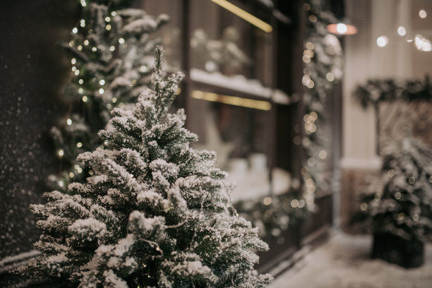 街道上白雪覆盖的舒适咖啡馆，在圣诞节和冬季假日装饰的咖啡馆的外观图片下载