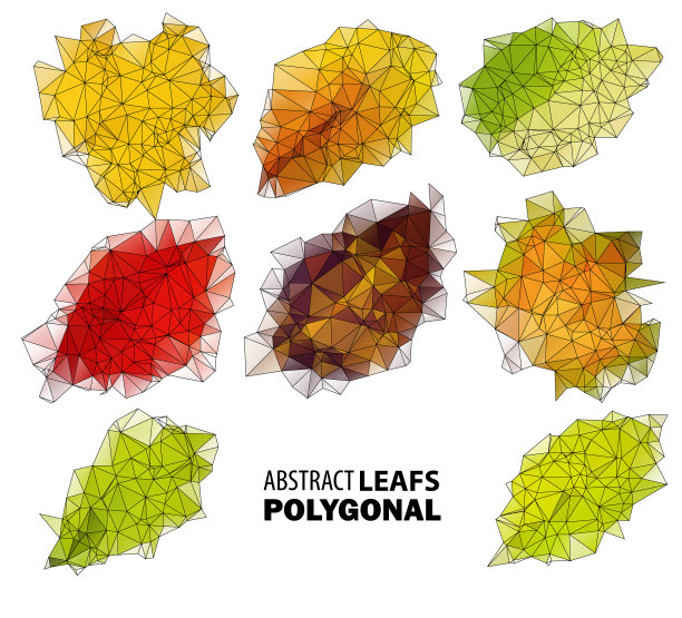 多边形叶为设计抽象的白色图片下载